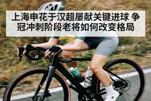 上海申花于汉超屡献关键进球 争冠冲刺阶段老将如何改变格局